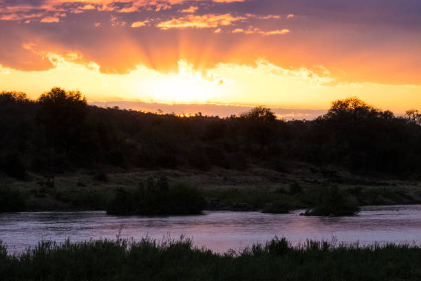 istock Sunset in the Kruger National Park 1582165673