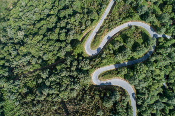 istock Top view of a winding road on a mountain with oak forest 1582210254