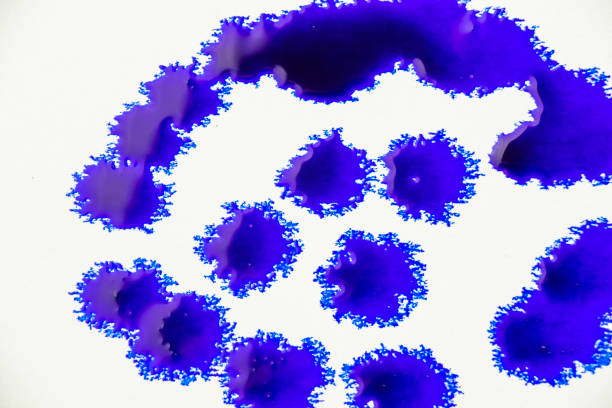 istock Blue color ink paint 1582213447