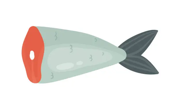 Vector illustration of Sliced salmon fish