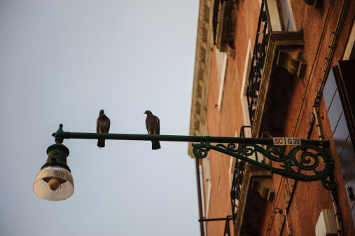 Two birds perched on horizontal street light pole attached to old red buidling