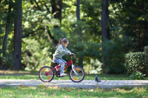 Little girl riding red bike in fall park