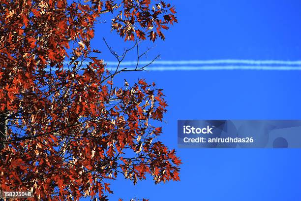 Autumn Streaks Stock Photo - Download Image Now - Autumn, Commercial Airplane, Horizontal