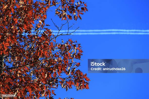 Outono Nódoas - Fotografias de stock e mais imagens de Avião Comercial - Avião Comercial, Branco, Céu