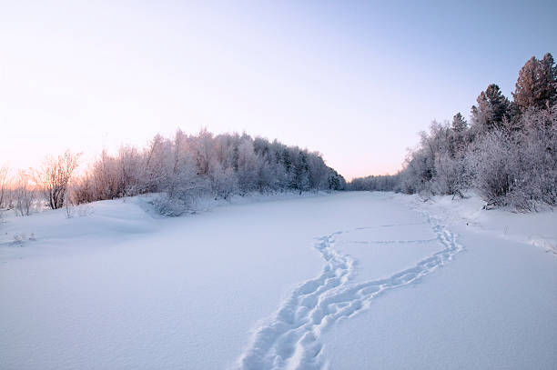 paysage d'hiver. - tony snow photos et images de collection