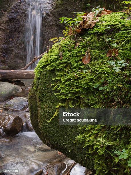 Mossy Stone And Falling Water Stock Photo - Download Image Now - Driftwood, Moss, Angle