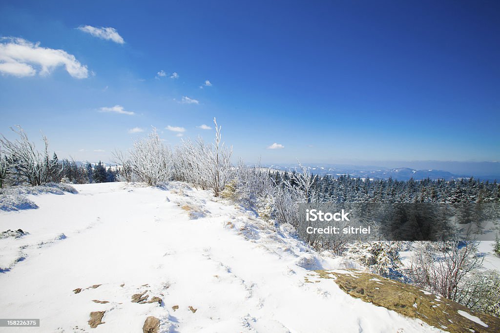 Piękna Zima góry Krajobraz - Zbiór zdjęć royalty-free (Bez ludzi)