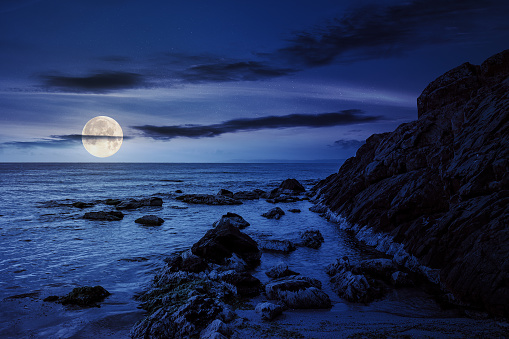 large rocks and seaweed on the rocky coast of the sea at night. wonderful seascape scenery in full moon light