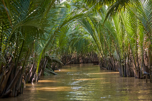 Arm of the Mekong Delta,  Can Tho, Mekong Delta, Vietnam, Southeast Asia