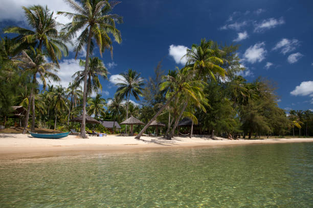 istock Beach with coconut trees, Phu Quoc, Vietnam, Asia 1582294205
