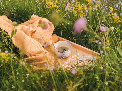 Cup of coffee and flower scissors in field of grass and wildflowers\nPhoto taken in summer in daylight sunlight