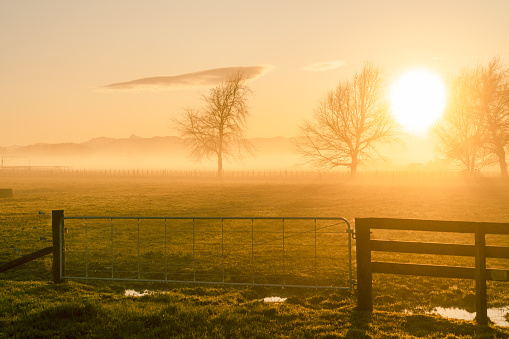 Sunrise in Waikato Region with low flying mist covering farmland in New Zealand.