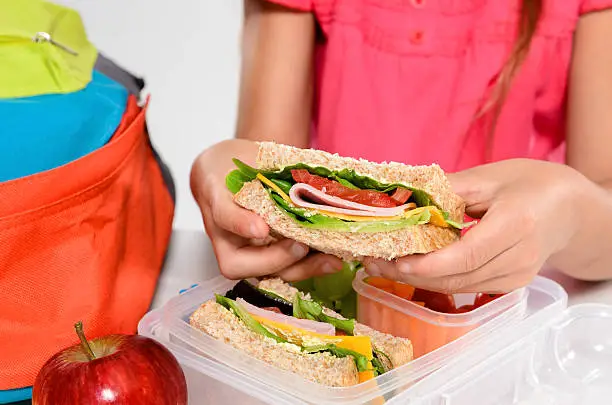 Close up on pair of young girl's hands removing a healthy wholesome wholemeal bread ham sandwich from her lunch box during breaktime