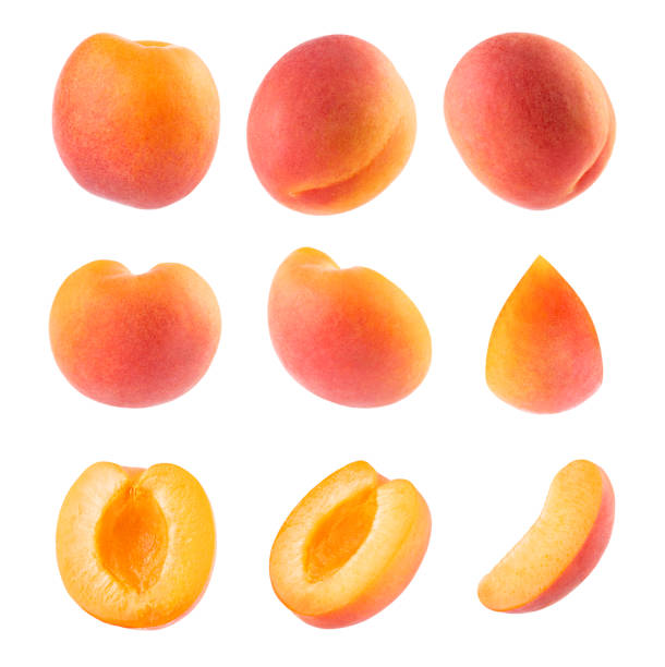 istock Bright orange apricot with pink side - collection, whole and cut on half, slice, different sides, closeup, details, isolated on white background. Summer fresh natural fruits as design elements. 1582347712
