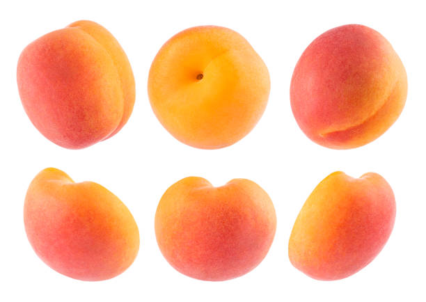 istock Juicy orange apricot with pink side rich - set, whole and cut on half, different sides, closeup, details, isolated on white background. Summer fresh natural fruits as design elements. 1582348232
