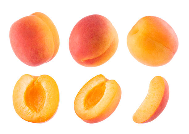 istock Ripe orange apricot with pink side -  set, whole and cut on half, slice, different sides, closeup, details, isolated on white background. Summer fresh natural fruits as design elements. 1582349292