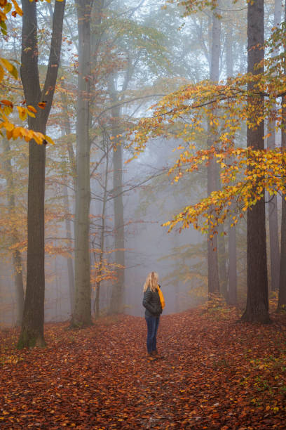 istock Woman is walking in autumn misty forest 1582353000