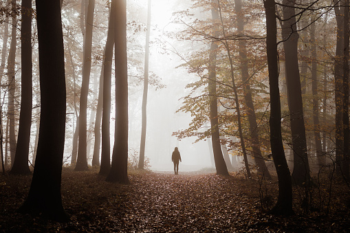 Silhouette of woman walks on footpath in dark foggy mystery forest alone. Concept of loneliness and solitude