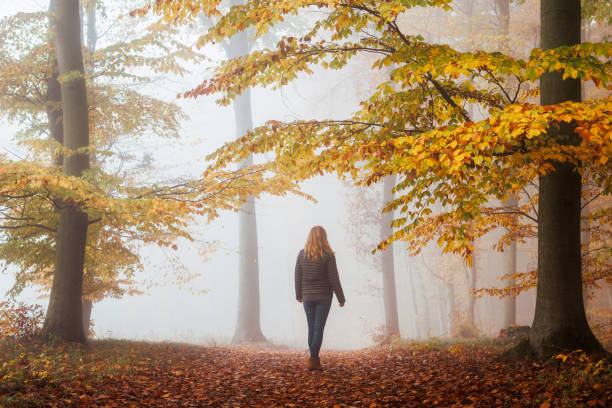 istock Woman walks in autumn misty forest 1582353020