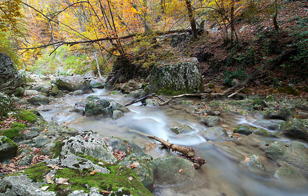 Autumn landscape with the river stock photo