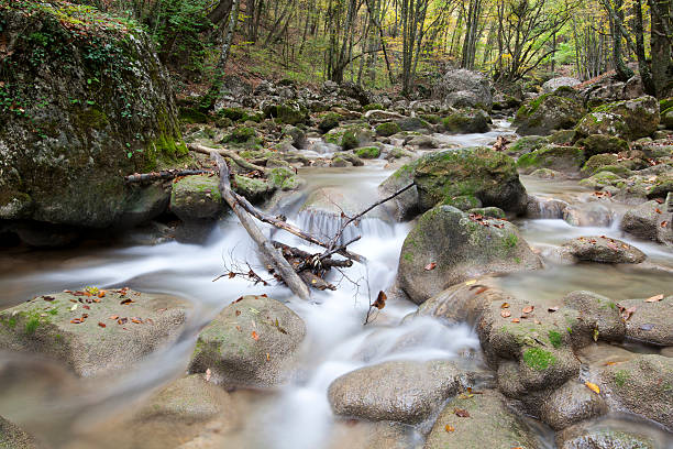 Mountain stream in the wood, autumn stock photo