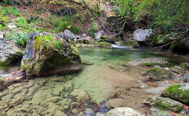 Beautiful mountain stream in the wood stock photo