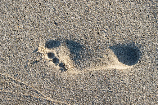Footprint in the sand at the sea