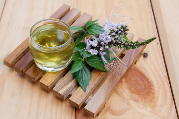 Cat's whiskers or Orthosiphon a glass of tea from boiling water from the leaves of cat whiskers or Orthosiphon aristatus. a drink that can be used as a traditional herbal medicine to treat diabetes orthosiphon aristatus stock pictures, royalty-free photos & images