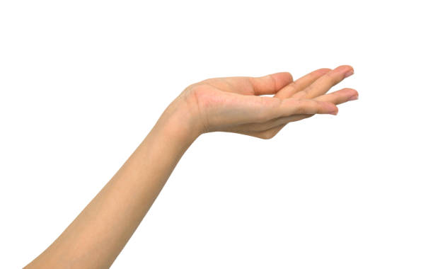 istock An elegant woman's hand extended forward, her fingertips gently curled as if to grasp something invisible, set against a spotless white background. 1582435498