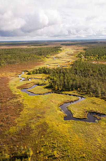 istock Western Siberia, Autumn. 158245003