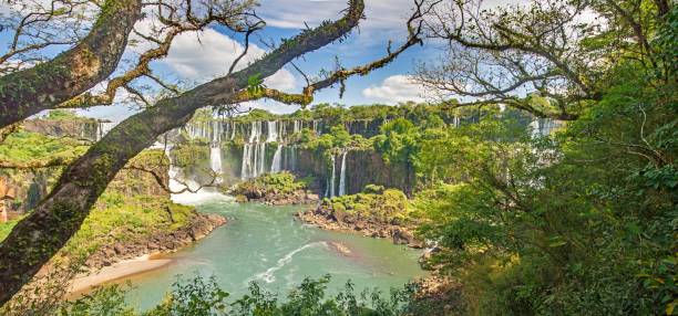 istock Panoramic image over the impressive Iguacu waterfalls in Brazil 1582490237