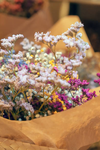 istock Bouquets of dry  flowers. 1582491349