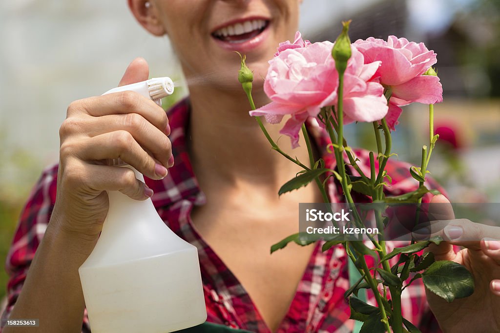 Jardinier féminine au market garden ou de garderie - Photo de Arroser libre de droits