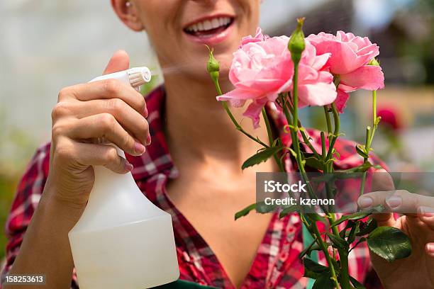 Photo libre de droit de Jardinier Féminine Au Market Garden Ou De Garderie banque d'images et plus d'images libres de droit de Arroser - Arroser, Asperger, Jeunes femmes