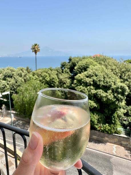 istock Cheers to Mount Vesuvius 1582553317