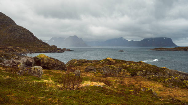 istock Vesteralen islands landscape during springtime 1582557099