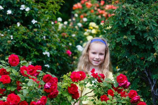 Portrait girl among the blossoming rose bushes