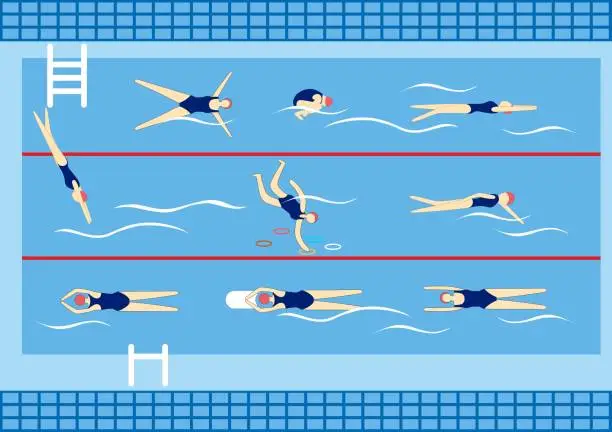 Vector illustration of Swimmers in swimming pool. Sport professional swimming pool with lanes. people swim in public swimming pool.