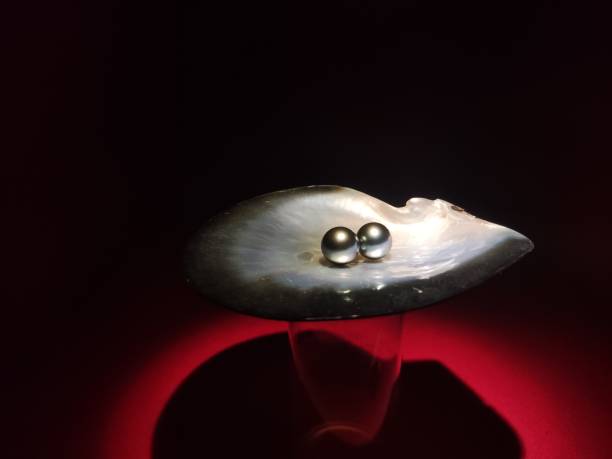 istock Guangzhou Museum, China - Immaculate Black Pearl 1582626225