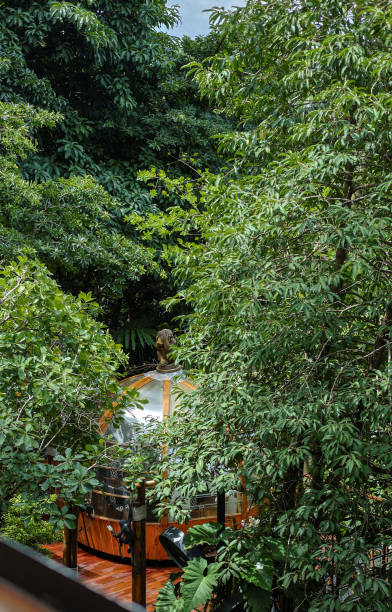 istock Hidden Relaxing corner in the forest 1582635057