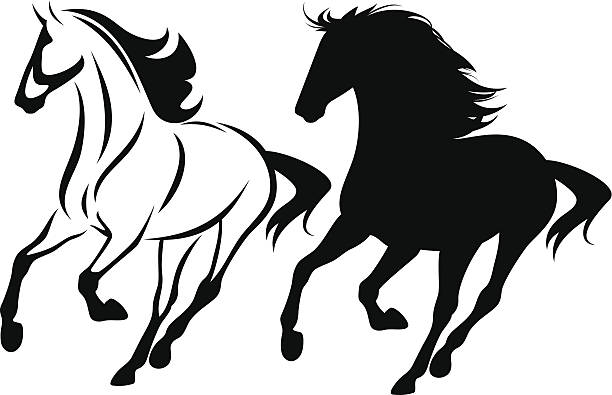 running mustang running horse black and white outline and detailed silhouette horse outlines silhouette stock illustrations