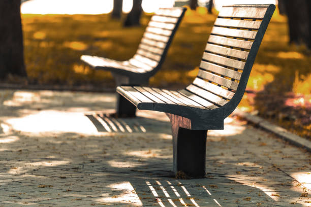 istock Autumnal park with two benches on a sunny day 1582673210