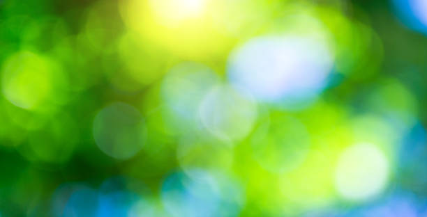 istock Natural green background with bokeh circles 1582685581