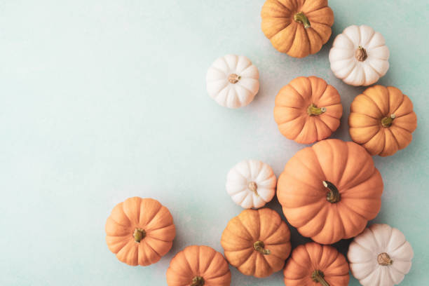 istock Small decorative pumpkins on turquoise background top view, flat lay. Autumn, Thanksgiving or Halloween minimalist greeting card 1582699753