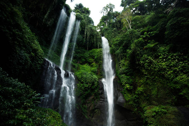 istock View of jungle waterfall cascade in tropical rainforest 1582710575
