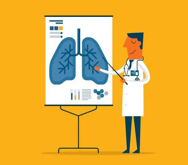 Vector illustration of Doctor gives a training lecture about anatomy - human lungs