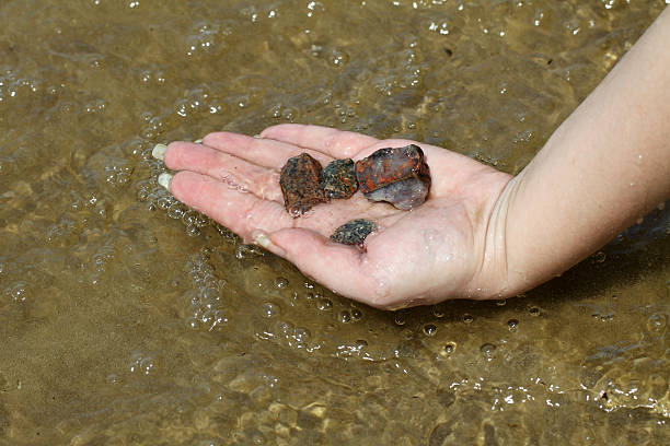 The female hand holds stones in river water stock photo