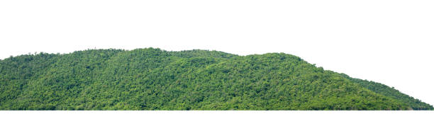 istock rocky mountain hill with green forest isolated on white background with clipping path and alpha channel 1582730771
