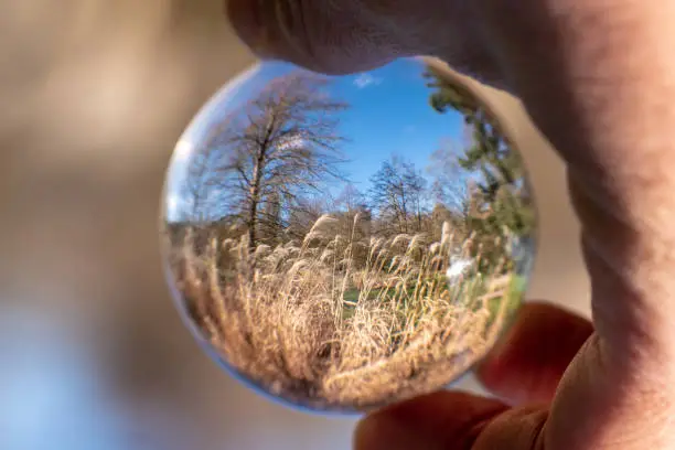 Reflection of trees and grass in a glassball with blue sky