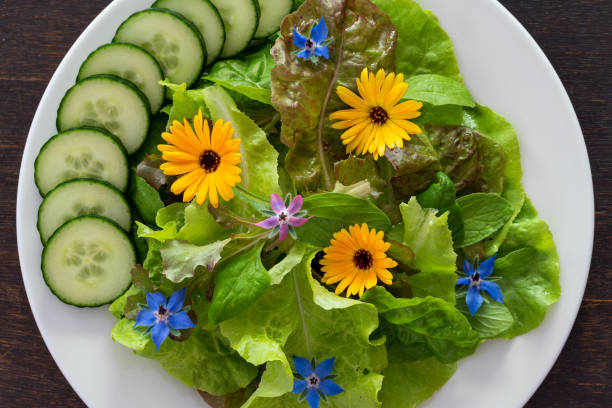 salade aux fleurs sauvages comestibles - borage photos et images de collection